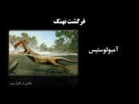 دینامیک و 10 باور غلط