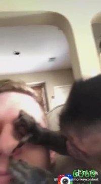 میمون کثافت