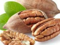 گردو پکان گرمسیرینهالستان تک فیدان 09144811631