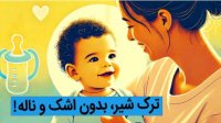 آیا کودک شما آماده قطع شیر است؟   راهکارهایی که هیچ کس به شما نمی گوید