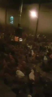 فروش مرغ تخمگذار4ماهه بومی گلپایگانی 09123968671و09121986651