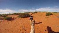 Camel Trek: Packing Camels for Camel Trek - Time Lapse