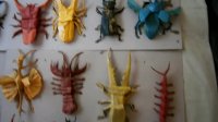 Origami Insects
