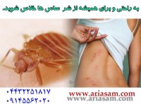 بدباگ کیلر سم قوی برای از بین بردن ساس ها