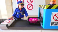 دیانا و روما دیانا و روما جدید ماجراهای دیانا و روما جدید