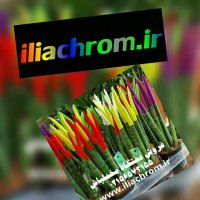 انواع پودر مخمل/چسب مخمل/دستگاه مخمل پاش/رنگ مخمل09127692842