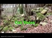 یادى از البرز پلنگ قهرمان ایرانى