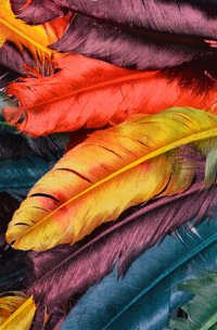 فرش فانتزی کارن یه انتخاب عالی برای اونایی که از دکوراسیون یک نواخت خسته شدند