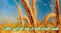 قیمت گندم چند درصد افزایش یافت؟