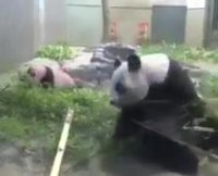 وقتی تو حال و هوای خودتی