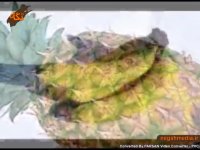 شخصیت شناسی با میوه محبوب