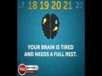 ساعت به ساعت فعالیت مغز