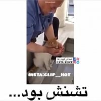 درود به انسانیت ، سیراب كردن گربه تشنه بدون داشتن ظرف