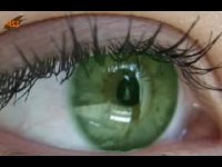 رنگ چشم و شخصیت شناسی