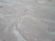 پاراگلایدرقم.مرتضی عبادی.هدف زنی