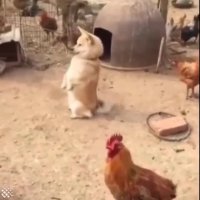 وقتی تو جمع تازه واردی