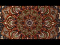 تریلر مستند "پوت"