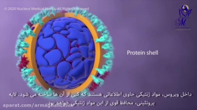 همه چیز در مورد کرونا ویروس