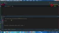 python arithmetic operation