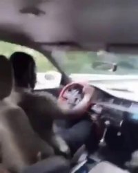 خنده دار ترین واکنش راننده در تصادف وحشتناک !