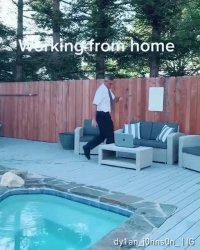 کلیپ خنده دار کوتاه جلسه در دورکاری