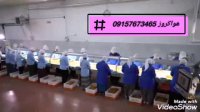 خط تولید مکانیزه زردآلو