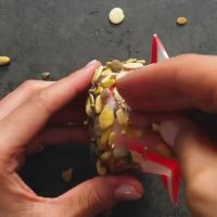 23 روش کاشت گل و گیاه در خانه