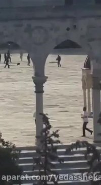 لحظه شلیک صهیونیست ها به جوان فلسطینی از فاصله یک متری!