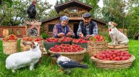 آشپزی روستایی جدید - اولین برداشت توت فرنگی و درست کردن کیک و مربا