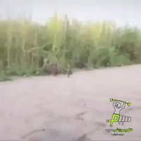 کلیپهای خنده دار اینستاگرام - این بچه های من ریختن تو چاه 1