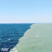 خلیج  #آلاسکا