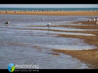 سفر به سواحل فیروزه ای مکران