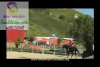 توانبخشی فوق تخصصی گفتارتوان گستر البرز 09121623463