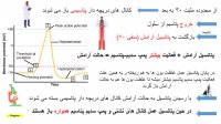 آموزش زیست شناسی کنکور - مبحث پتانسیل عمل