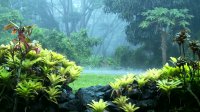 Relaxing Sound of Summer Rain, Thunder and bird chirping - Meditation, Deep Sleep, Relaxing