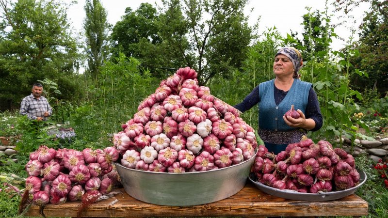 آشپزی روستایی آذربایجان جدید خانم فرناز - بادمجان و کباب با سیر تازه