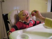 آخه چقدر گرسنه است نی نی