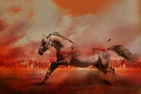 شور " دل تو دلم دیگه نیست آقا " با صدای حاج حسن شالبافان