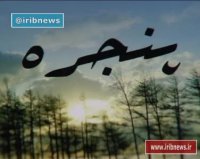 مگر میتوان با بدنی کاملا خشکیده و چشمهایی نابینا عاشق بانویی جوان شد!