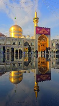 مولای مهربان من چقدر این روزها روح من به نفس کشیدن در هوای شما محتاج است ...