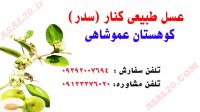 عسل کنار یا عسل طبیعی کوهستان سدر