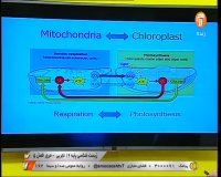 کلاس درس زیست شناسی 3 (مرور فصل 5) پایه دوازدهم
