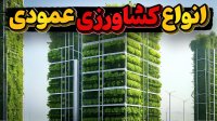 انواع کشاورزی عمودی چطوری کار میکنه؟