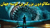 مگالودون بزرگترین کوسه تاریخ کره زمین را بشناسید