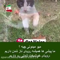 میو این من هستم