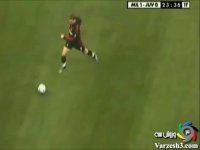 گل زیبا از شوچنکو