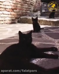 تور گرجستان