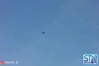 مترسک ها جای خود را به ربات های پرنده می دهند