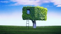 تاثیردرختان بر کیفیت و سلامت زندگی