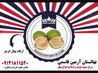 خرید نهال گردو 09141811520